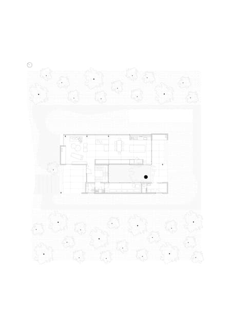 Eucalyptus House